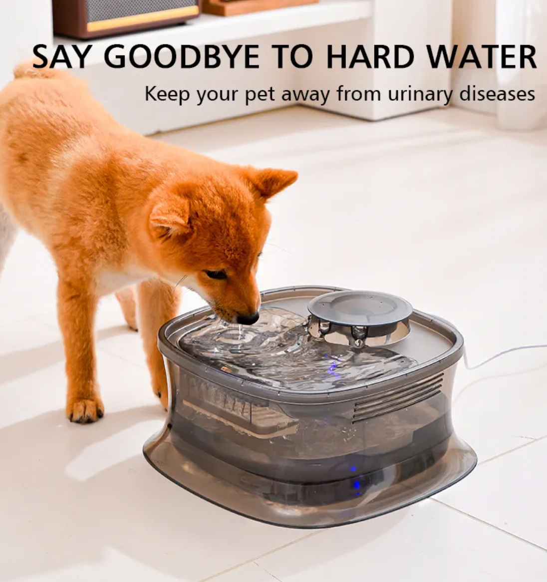 Fuente De Agua Mascotas Perro Gato XL